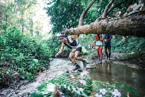 BIB: 
                            <button type="button" onclick="openModal(25446258)" class="btn btn-primary btn-sm float-right btn-popup" data-toggle="modal" data-target=".modal-high-quality">
                        <i class="fas fa-shopping-cart"></i> Add to Cart
                    </button>
                                            <button type="button" onclick="isThisMe(25446258, true)" class="btn btn-success btn-sm float-right btn-popup btn-isme hidden" data-toggle="tooltip" data-placement="bottom" title="นี่คือรูปของคุณใช่ไหม คลิกที่นี่เพื่อเอาเข้าอัลบั้ม">
                        <i class="fas fa-plus"></i> Add to album
                    </button>
                    <button type="button" onclick="isThisMe(25446258, false)" class="btn btn-warning btn-sm float-right btn-popup btn-isnotme hidden">
                        <i class="fas fa-ban"></i> Remove from album
                    </button>